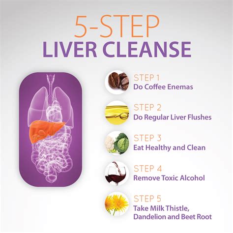 5 Step Liver Cleanse Graphic
