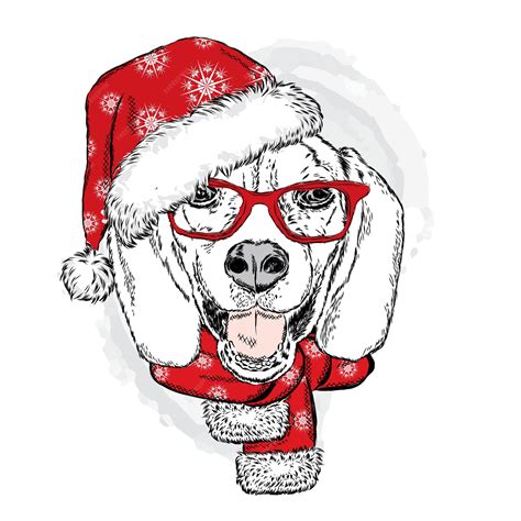 Premium Vector Funny Dog In Santa Hat Glasses And Scarf Vector