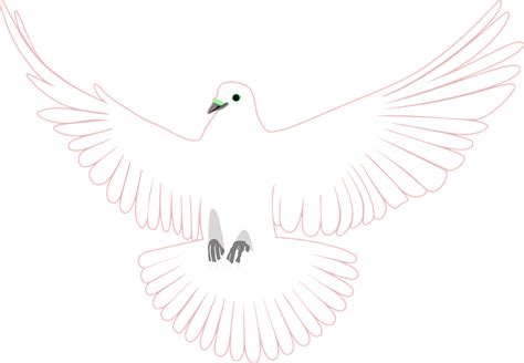 Pigeon Dove Bird Free Vector Graphic On Pixabay