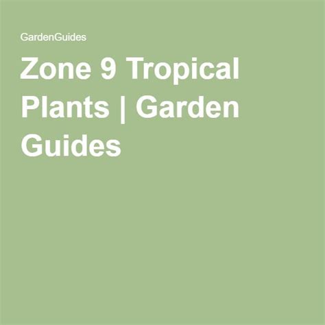 Zone 9 Tropical Plants Tropical Plants Zone 9 Plants
