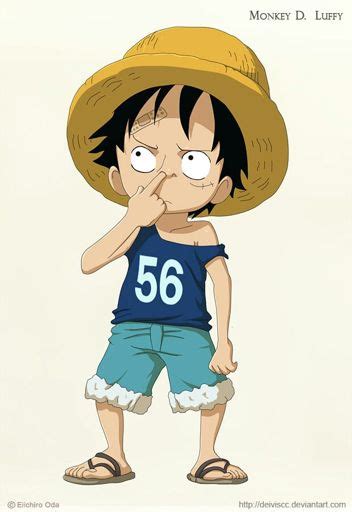 Luffy One Piece Amino