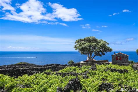 15 Awesome Things To Do In Pico Island Azores By A Portuguese