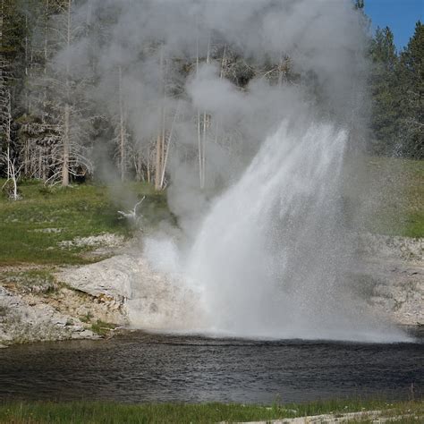 Riverside Geyser Yellowstone National Park 2022 Alles Wat U Moet
