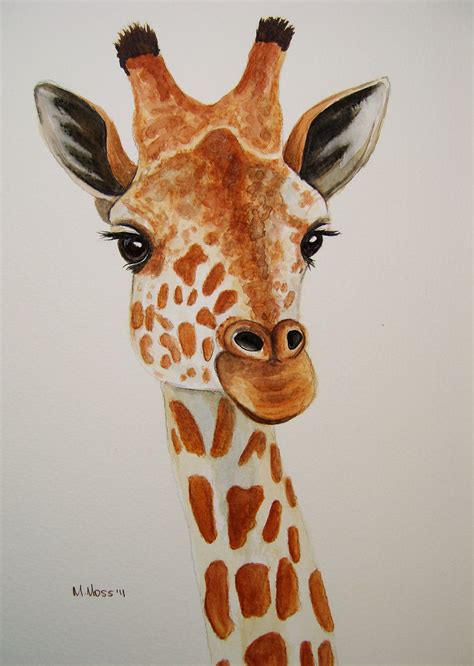 Giraffe Portrait In Watercolour Giraffe Portrait Painted B Flickr