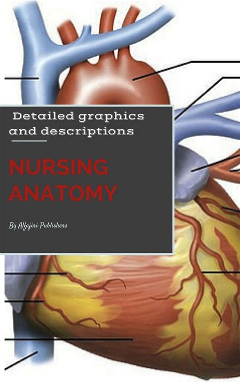 Read Nursing Anatomy And Physiology Online By John Thuko Books