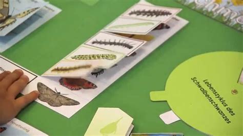 Dieser ordner enthält rund 270 medien zum thema „lapbook. Das KiGaPortal Schmetterlings-Lapbook - YouTube