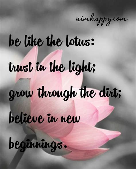 We did not find results for: 20 Lotus Flower Quotes to Inspire Growth & New Beginnings | Lotus flower quote, Flower quotes ...