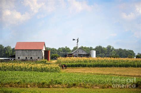 The Mennonite Farm Photograph By Paul Mashburn Fine Art America