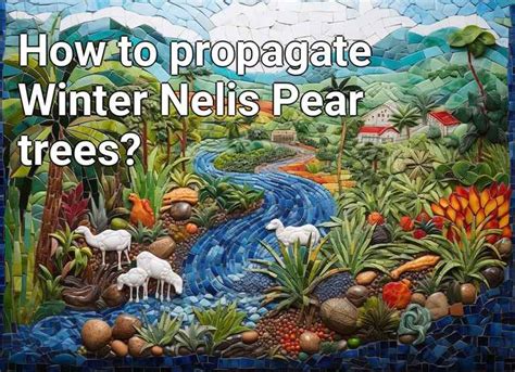 How To Propagate Winter Nelis Pear Trees Agriculturegovcapital