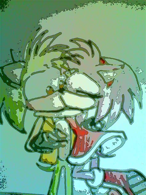 Manicxamy Kiss Sonic The Hedgehog Fan Art 30902866 Fanpop
