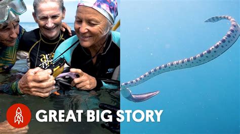 Why These Grandmas Swim With Venomous Sea Snakes Youtube