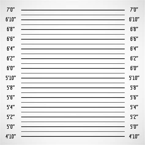 Police Mugshot Background Empty Template Without Numbers Height Chart