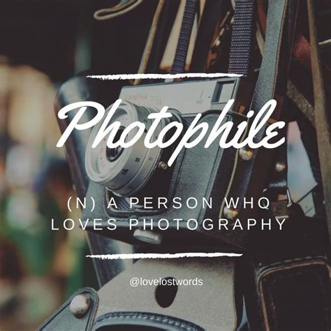 Derived From The Term Photophilic Meaning To Thrive In Light A