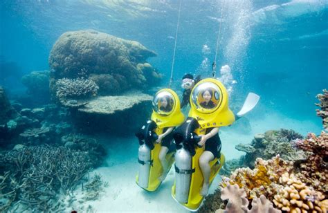 Experience The Great Barrier Reef Under Water On Scubadoo Great