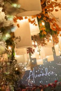 Mystic Garden Debut Of Alexandria Khim Cruz Wedding And Event