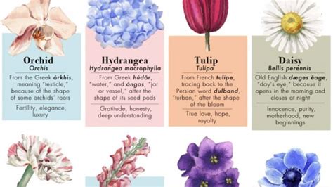 Upbeat and enthusiastic, the color brings joy to for many, it has a calming effect, but can also express a feeling of mystery, intuition, balance and structure. Here's how common flowers got their names, and what they ...
