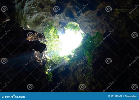 A Cave In A Forest With Sunlight Stock Image Image Of Hill Design