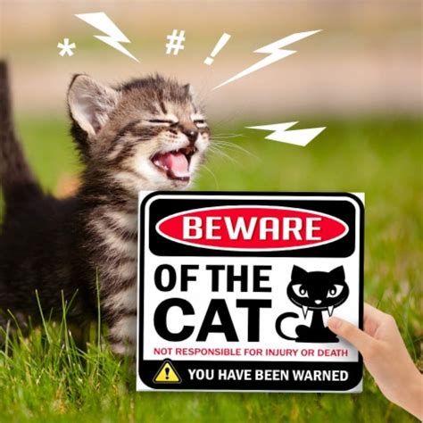 Bigtime Signs Beware Cats Cat Sign Funny Gag Ts For Cat Lovers 12