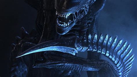 50 Xenomorph Hd Wallpapers And Backgrounds