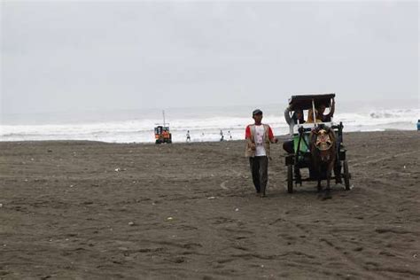 Pantai Parangtritis Yogyakarta Yogya Gudegnet