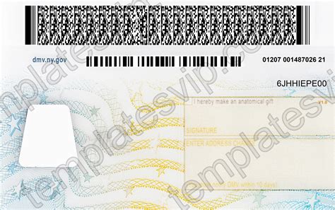 New York Ny Drivers License Psd Template Download Templates