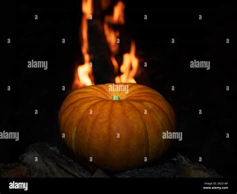 Halloween Pumpkin Lying In The Dark On Birch Logs In The Background