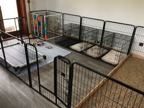 30 Best Indoor Dog Kennel Ideas Page 4 The Paws