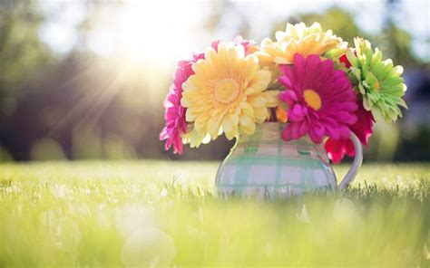 Init, destroy и factory методы. Spring Wallpaper, Colorful, Flower, Natural, Wallpaper ...