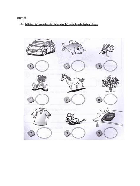 Koleksi kertas soalan peperiksaan percubaan sains (science) spm 2020, 2019, 2018, 2017 + skema jawapan. Soalan Peperiksaan Sains Tahun 1