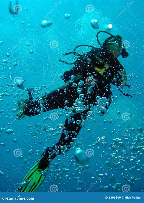 Diver Ascends Stock Image Image Of Sunlight Aquatic 1396309