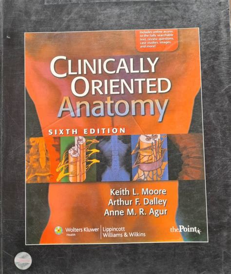 Clinical Oriented Anatomy Buy Clinical Oriented Anatomy By Keith L