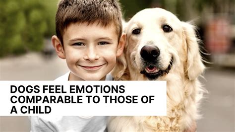 Dogs Feel Emotions Comparable To Those Of A Child Youtube