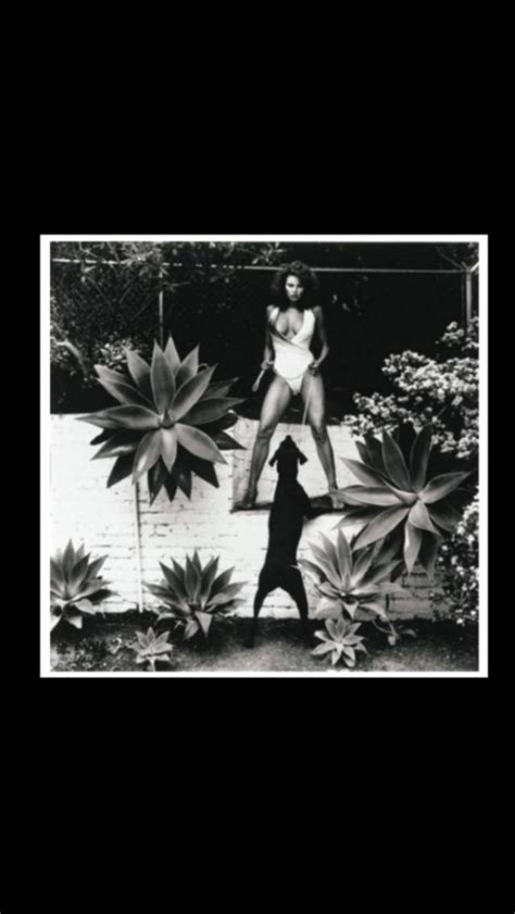 Helmut Newton Raquel Welch In Her Backyard Beverly Hills 1980