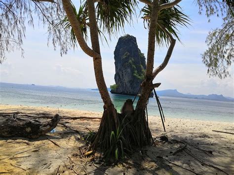 Sun San Travel And Tour Krabi Town All You Need To Know Before You Go