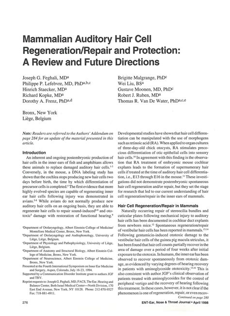 Mammalian Auditory Hair Cell Regenerationrepair And Protection A