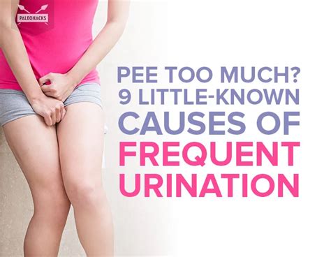 9 Little Known Causes Of Frequent Urination In 2020 Frequent