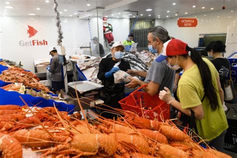 Fish Market Kicks Off 36 Hour Marathon As Sydney Prepares For Christmas