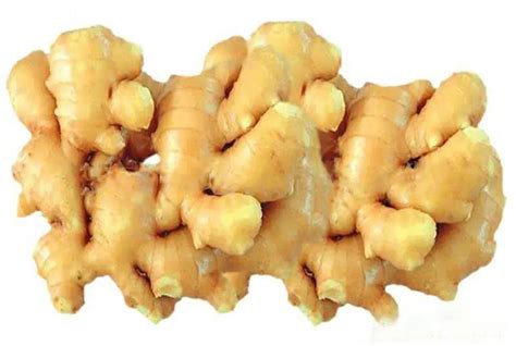 fresh ginger new crop eu quality 250g by jining xirong international trading co ltd china