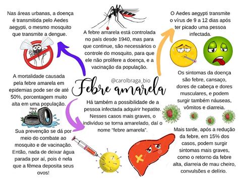 Febre Amarela Mapa Mental