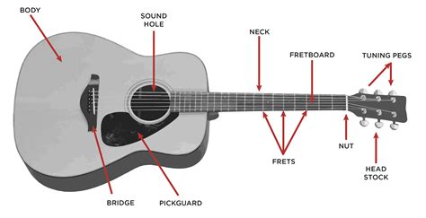 Learning the parts of the guitar for both acoustic and electric guitars is important for every guitarist. The Acoustic Guitar Step By Step Buying Guide - GAK BLOG