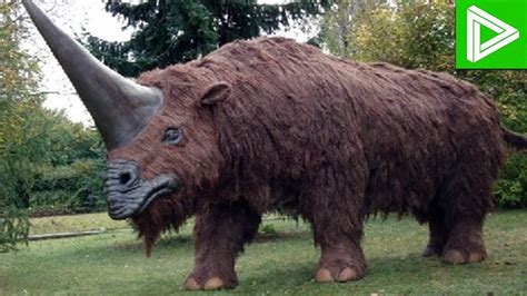 10 Extinct Animals That May Still Be Alive Simply Amazing Stuff