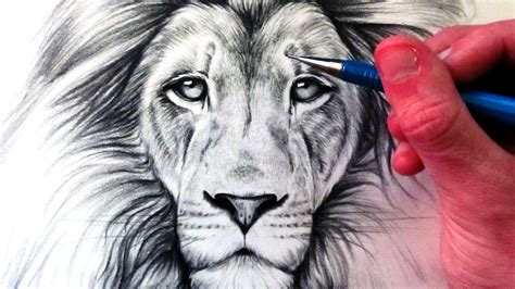 Coloring pages easy kids drawing lion drawing pictures youtube. How to Draw a Lion - YouTube