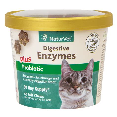 Supplementing with digestive enzymes can similarly help despite research papers suggesting this may not helpful i have seen many patients benefit and natural medicines for digestive upsets in cats. NaturVet Digestive Enzymes Cat Supplement | Petco