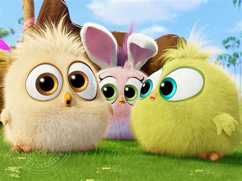 Watch The Hatchlings From The Angry Birds Movie Share Their Favorite