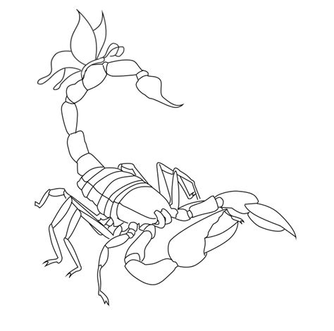 Easy educational game for kids. Scorpion tattoo line-art by ArisuMizuki on DeviantArt