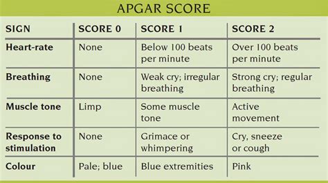 Apgar Score ~ Nursing