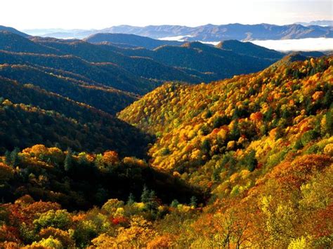 Free Download Fall Colors Wallpapers Download Deep Creek Valley Great