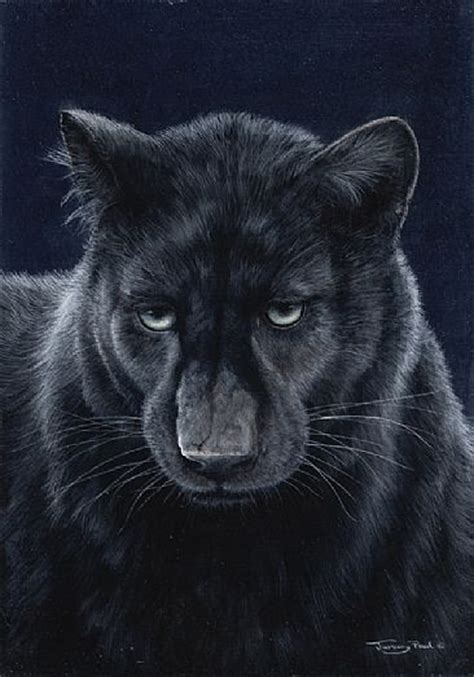 Black Leopard Painting Art By Jeremy Paul