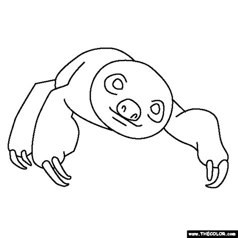 Baby Sloth Coloring Coloring Pages