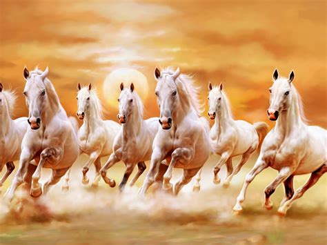 Beautiful White Horses Galloping Orange Sunset Sky Ultra